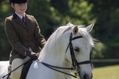 Elicia-Smithers-and-Chilham-Pearly-King