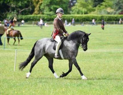 Poppy Fisher and Linksbury Miss Polly