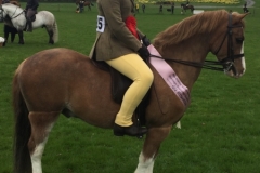 Kyra Brash and Wellbank Gabriel