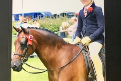 Cerys Holley and Hightopps Dancing Bee
