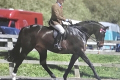 David Bennett and Carrhouse Double Jeopardy
