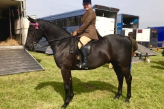 Fielding Darcy and Dawn Waller