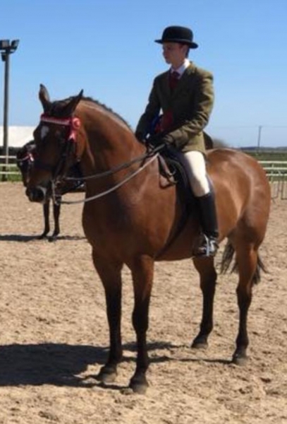 Glen Allen and Helsington Tailor made