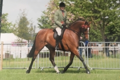 Craig Kiddier and Antsar Mr Sam