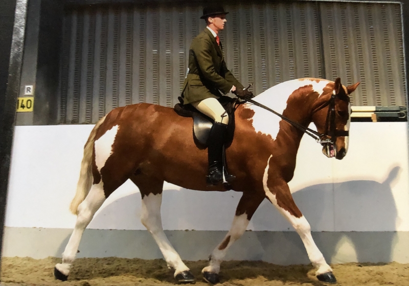 Daniel Williams and The Baroness II