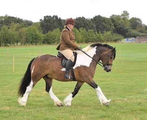 Kimberly Maw and Kiwi III