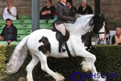 Claudia Jackson and Kimico Charlie Boy