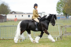 Pixiesmeadow-Django-and-Megan-Williams