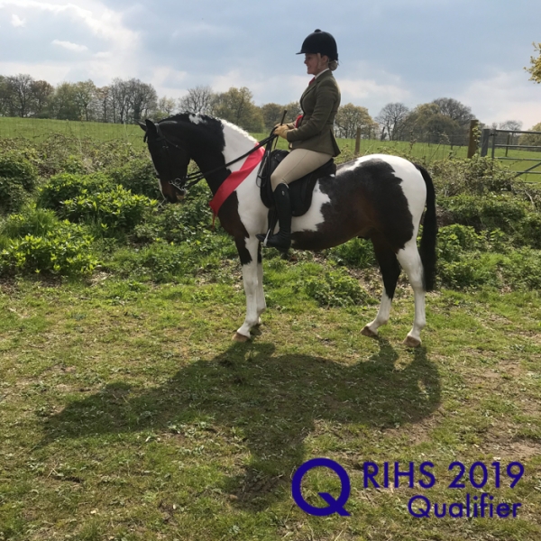 Willow Tarrant and Tarnbrook Take It All