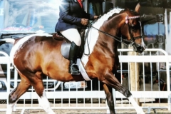 Lucy Morton and Sulan Sophisicat
