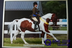 Anna Chuter and Plasucha Maximus_