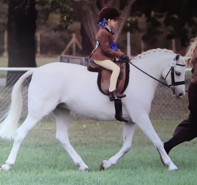 Millie-Rackham-Cobb-and-Overley-gamebird