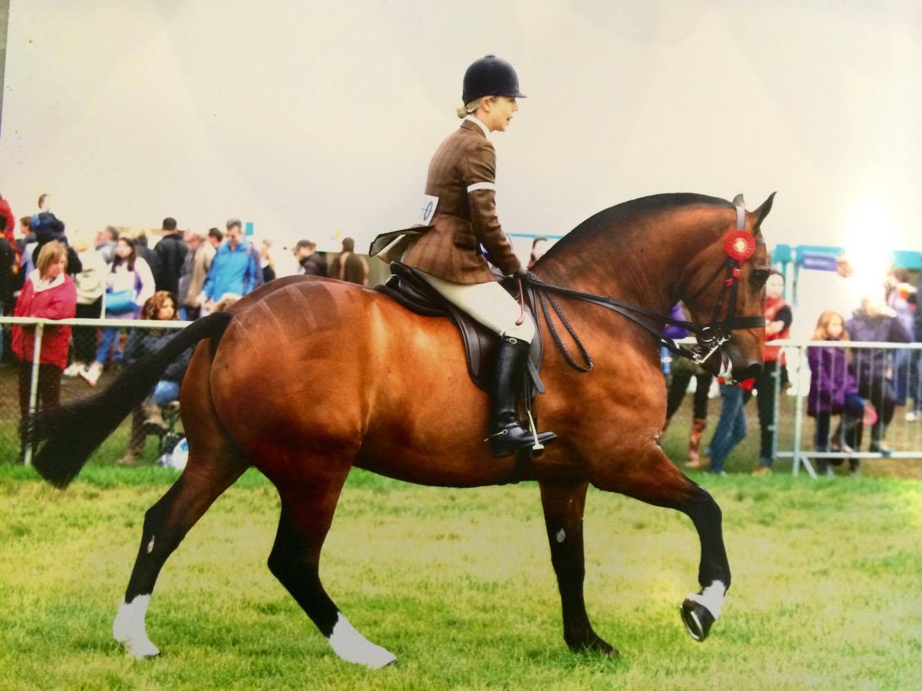 Ballyell Turbo and Lizzie Oseman