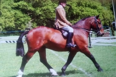 Antony Pollitt and Tim de la rue