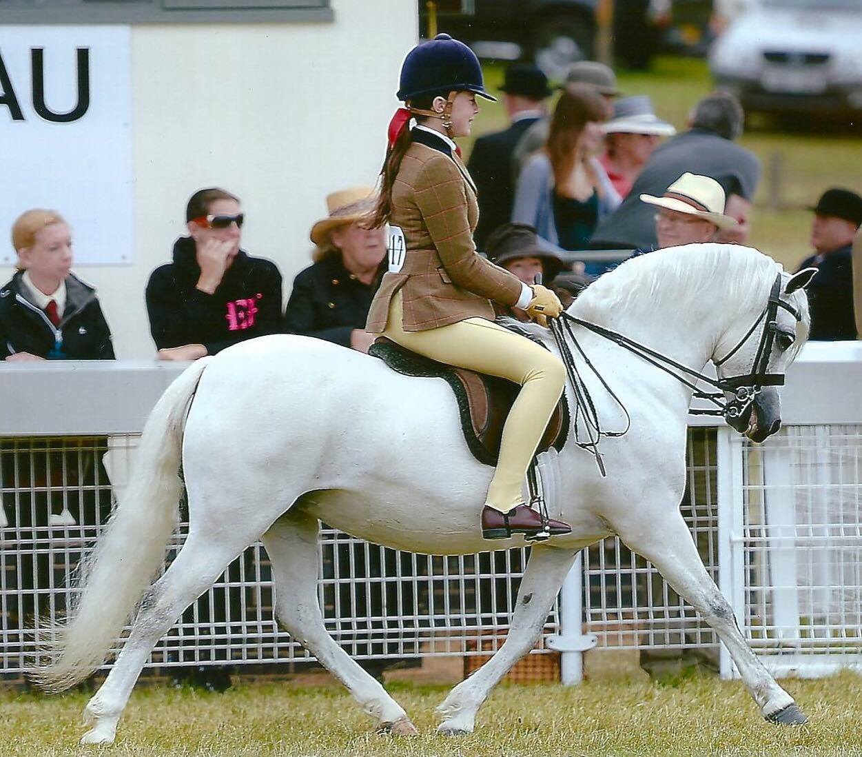 Tori Thomas riding Pantycoed Silver Charm