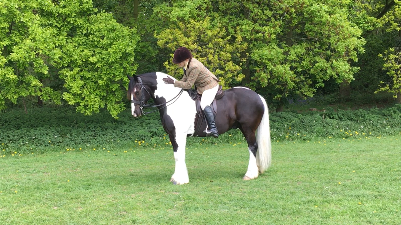 Oldforge The Mohican and Victoria Walker