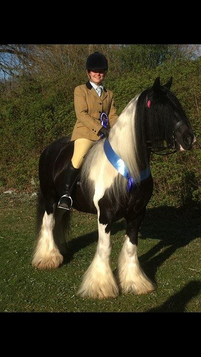 Who's that and jo himsworth