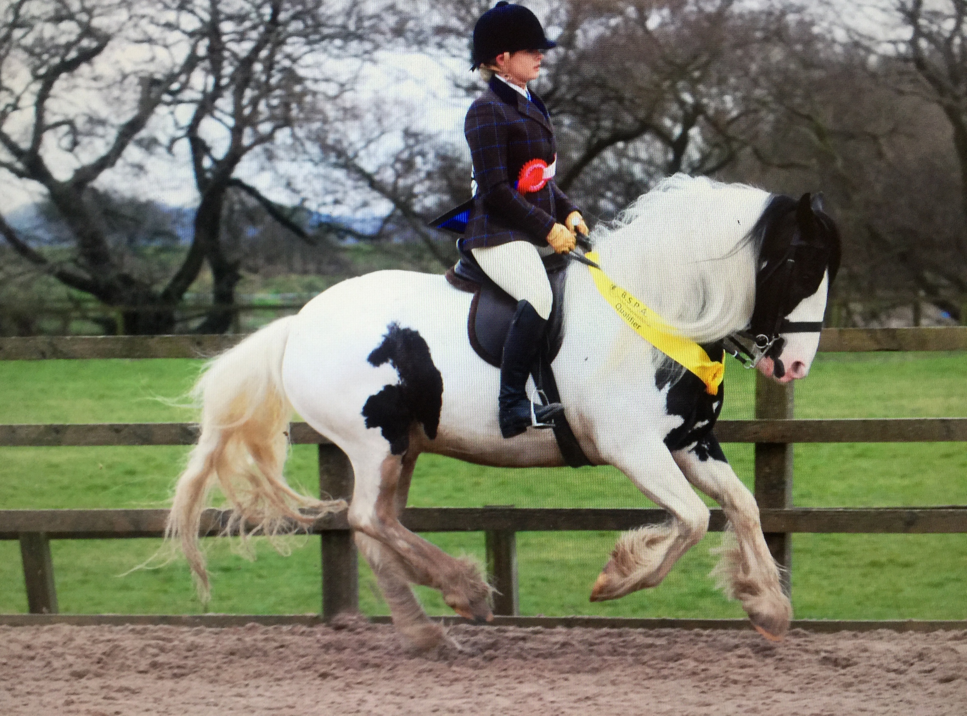 Claudia Jackson and Kimico Charlie Boy