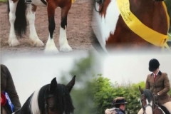 Rowen Stanier and Red Rose