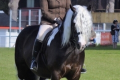 Sian Warman-Randall and Edward V