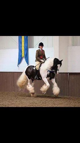 Charly Syndrome and Sarah Field