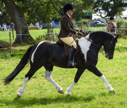 Michelle Pickford and Delfyw Caradog