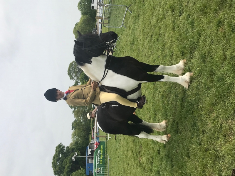 Poppy Galbraith and Sherlocks Seren Dreamer