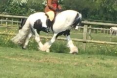 Jenna tann and NOBBY