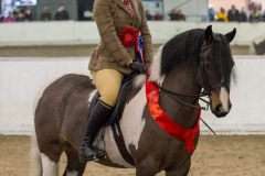 Lucie Gordon-Burgess Horse:Pony Burghwallis Razzmatazz