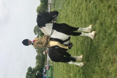 Poppy Galbraith and Sherlocks Seren Dreamer