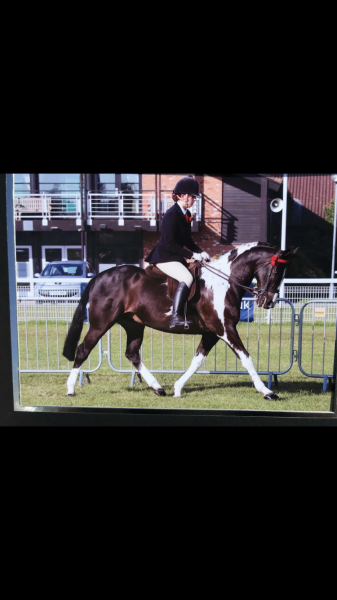 Megan Pritchard and Chelsmoor Rock Star