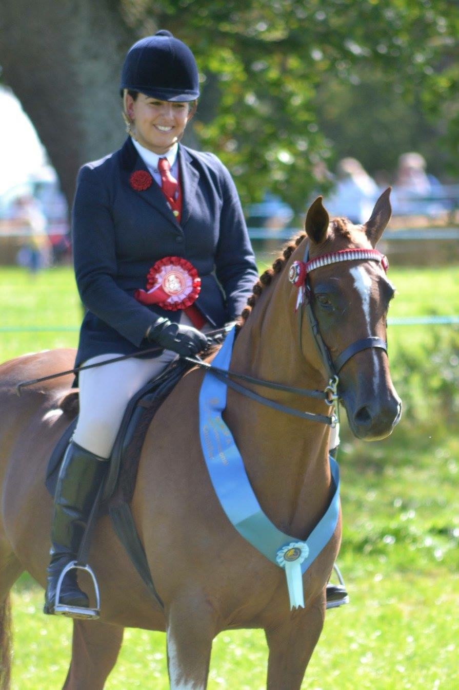 sian warman wandall and hollylands maystar