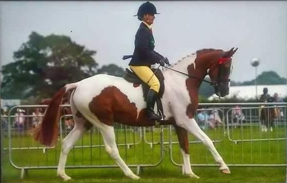 Sophie Rogers and Doylan Edge of Glory