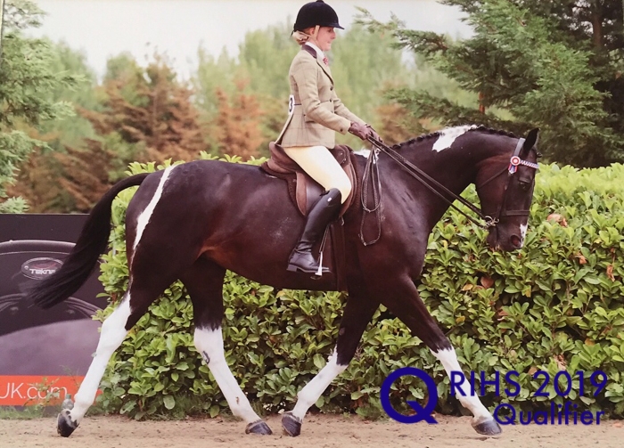 Lucy Irvine and Dash Dance Tranquility
