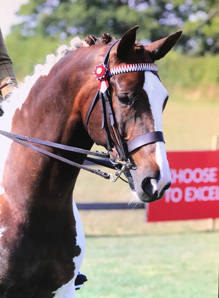 Rachel Bailye and Mill House Adimo Pectore