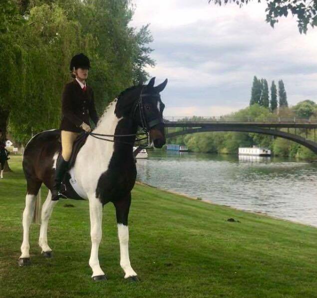 Star dream and Georgia Aungier