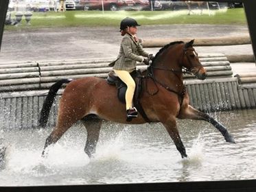Brooke Pickering and pip
