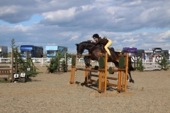 Hanmere Maverick and Bea Wheeler