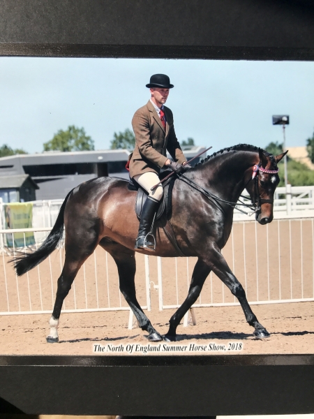David Bennett and Carrhouse Double Jeopardy