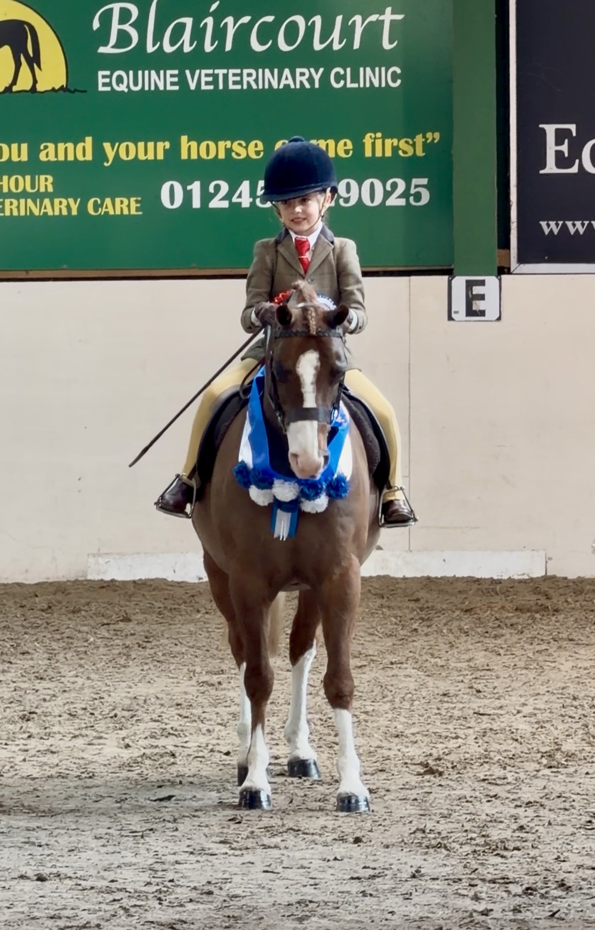Beatrice Stanford and Cadlanvalley Glyndwr for The Harrison Civil ...