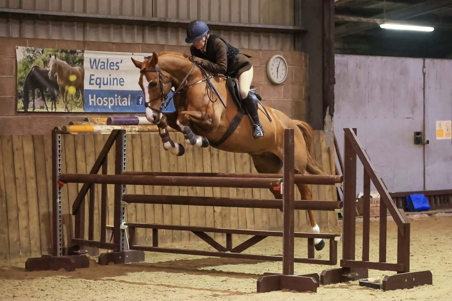 The BSPS Intermediate Working Hunter Championship RIHS 2026 - Who's ...